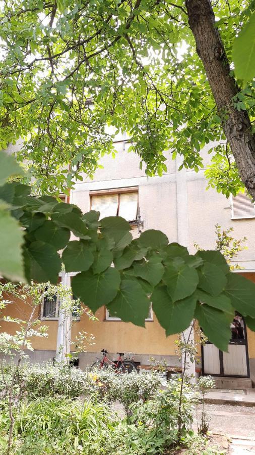 Anka Apartman Jagodina Kültér fotó